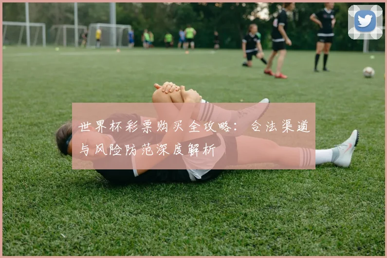 世界杯彩票购买全攻略：合法渠道与风险防范深度解析