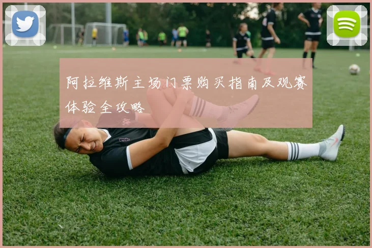 阿拉维斯主场门票购买指南及观赛体验全攻略