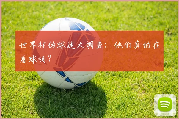 世界杯伪球迷大调查：他们真的在看球吗？