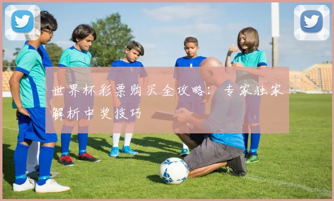 世界杯彩票购买全攻略：专家独家解析中奖技巧